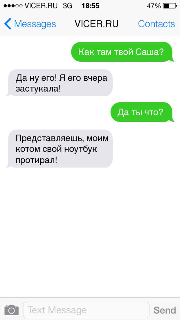 смс о домашних животных 