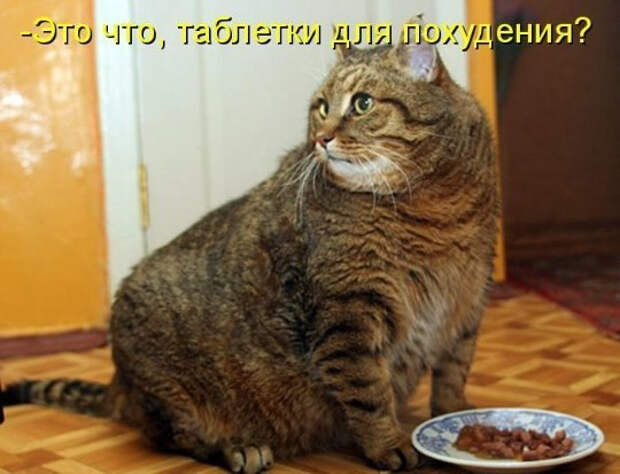 4 (540x413, 180Kb)