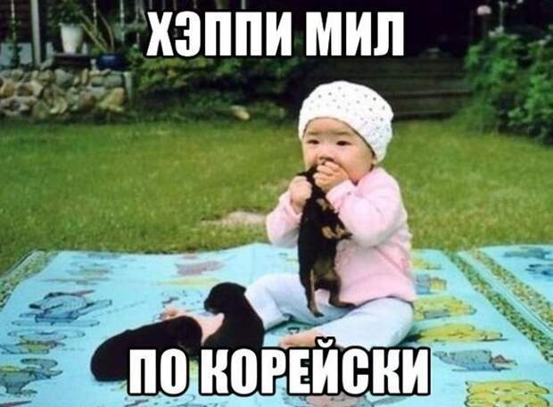 Картинки со смешными подписями картинки, прикол, юмор