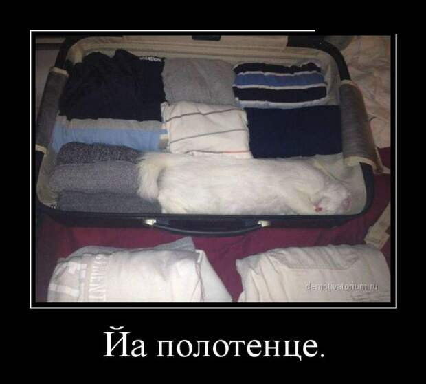 Демотиваторы демотиваторы, юмор