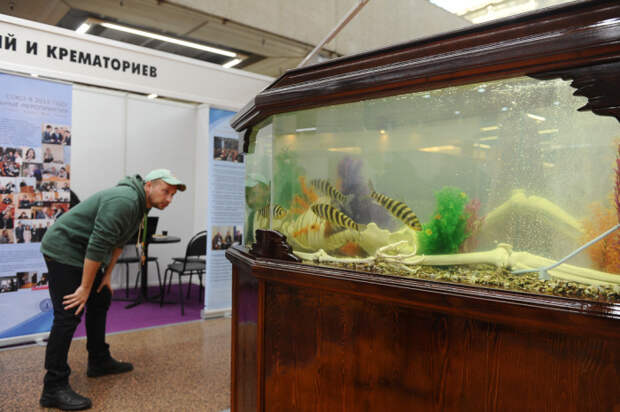 Выставка похоронной моды в Москве (50 фото)