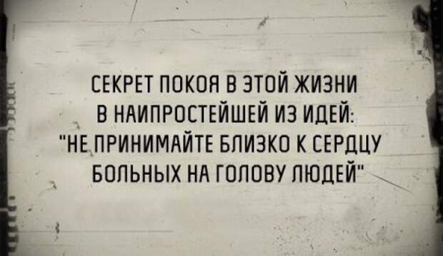 Поржачная солянка! #33
