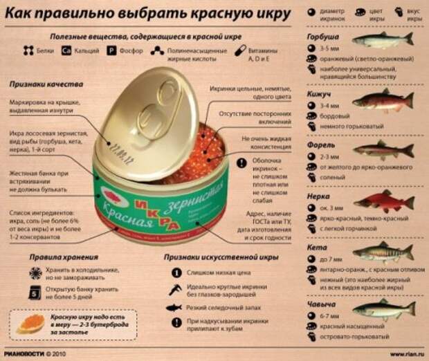 Новогодние инфографики