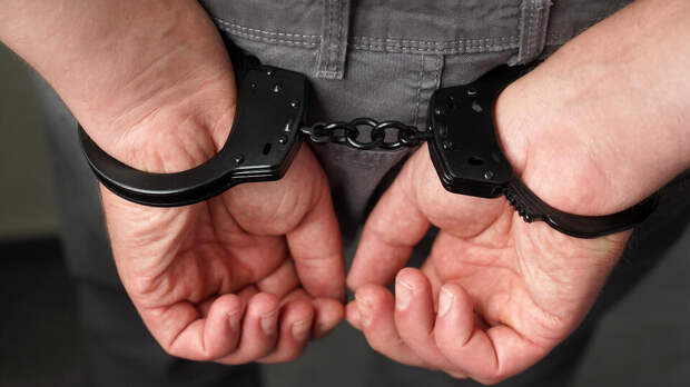 11 пособников телефонных мошенников задержали в Воронежской области