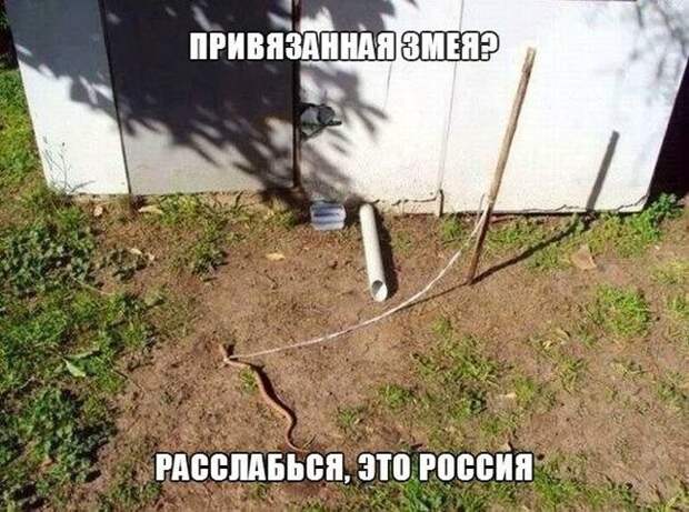 Такое возможно только в России маразмы, россия, юмор