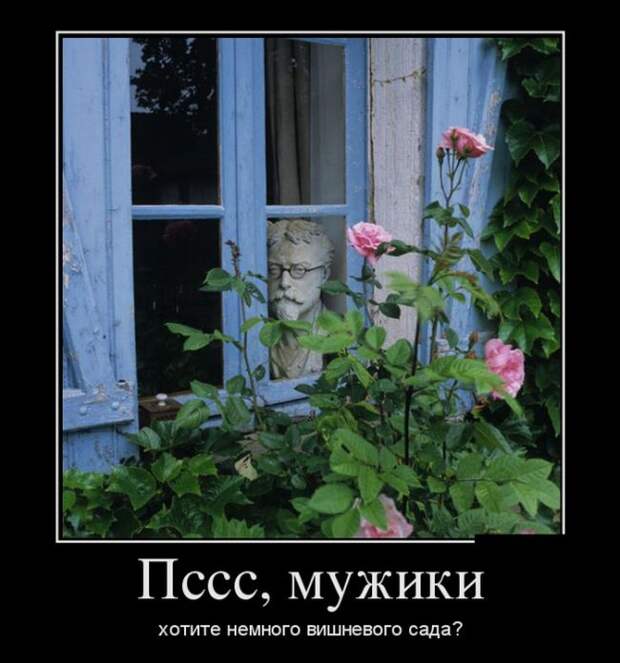 Веселые демотиваторы на субботу (11 фото)
