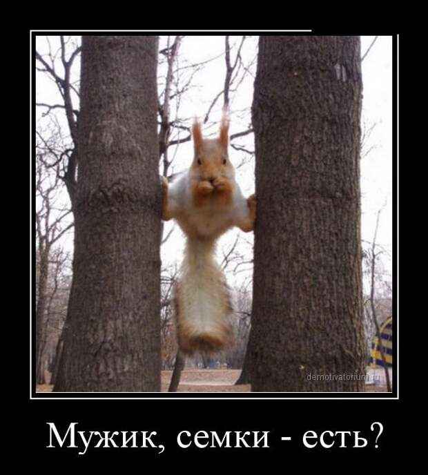 Демотиваторы №1043 (30 фото)