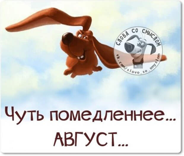 1439400985_yh3fozewqxi (450x383, 117Kb)