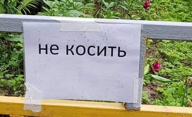 Объявления и надписи, к которым подошли явно не со всей ответственностью Объявления и надписи, к которым подошли явно не со всей ответственностью