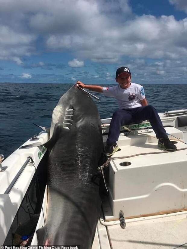 Мальчик из Австралии поймал акулу весом 314 кг