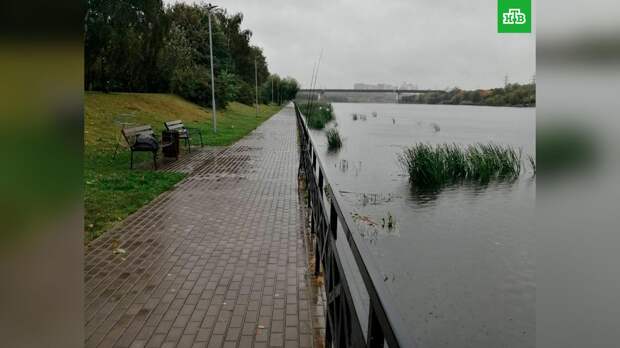 Тело новорожденной девочки нашли в Москве-реке