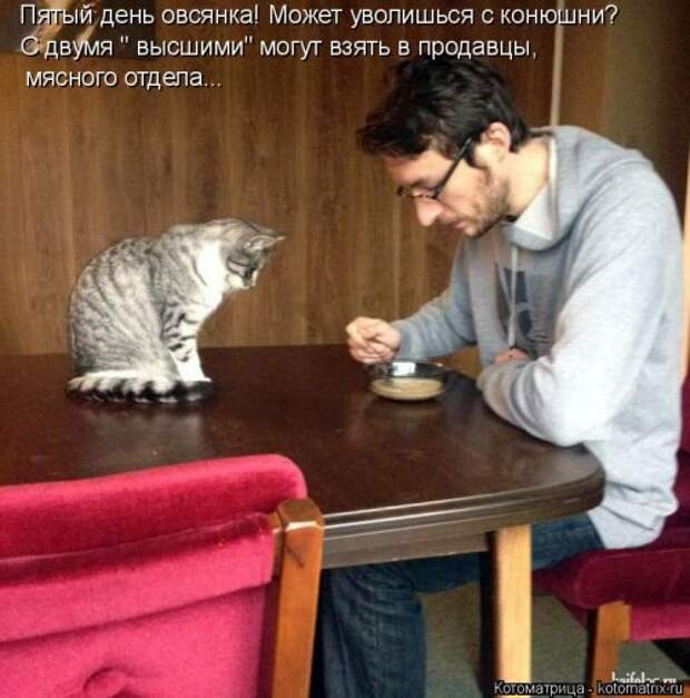 Котоматрица свежак (36 шт)