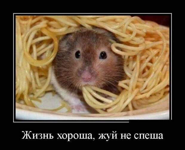 Разные прикольные демотиваторы