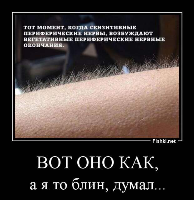 Демотиваторы демотиваторы, прикол, смех, юмор