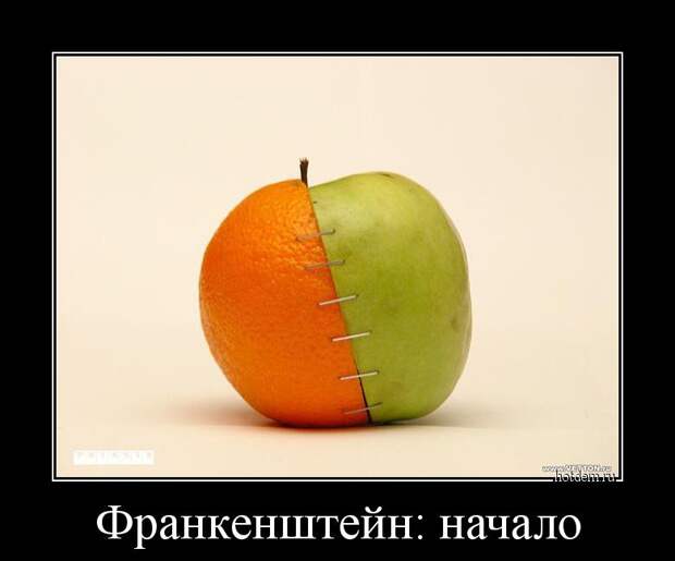Демотиваторы демотиваторы, прикол, смех, юмор