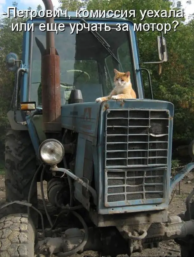 Включи трактор кот. Приколы пртрактаристов. Смешной трактор. Кот на тракторе. Смешной тракторист.