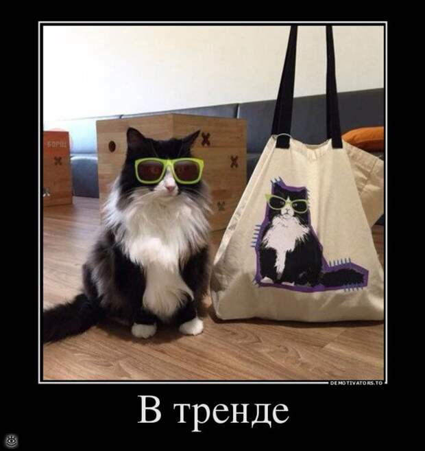 Доминируй, властвуй, урожай! 31