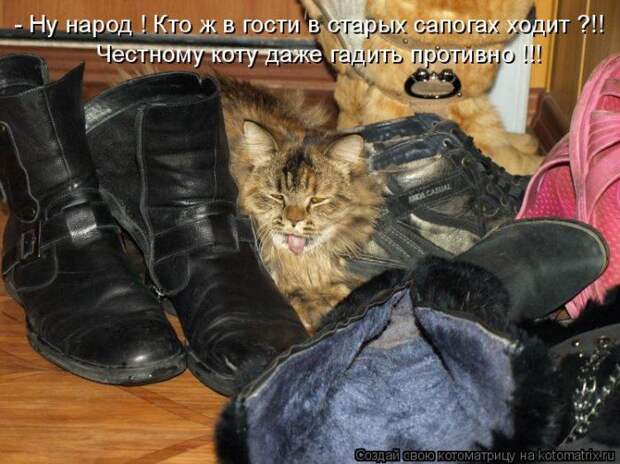 Мысли вслух :)
