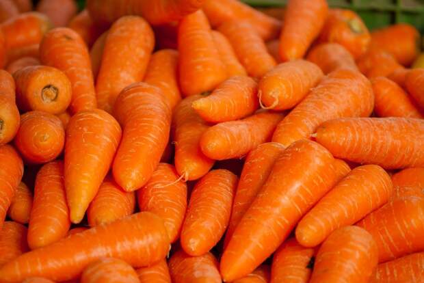Telegraph: употребление моркови снижает риск рака