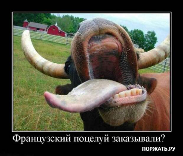 Демотиваторы, новенькое