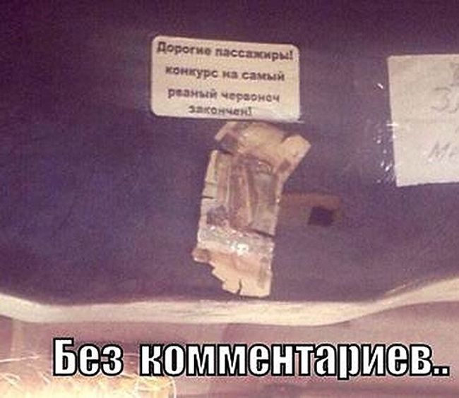 Веселые “маршрутки”