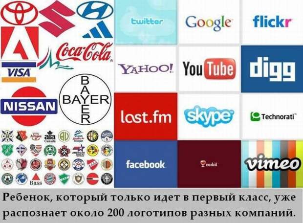 Интересные факты в картинках