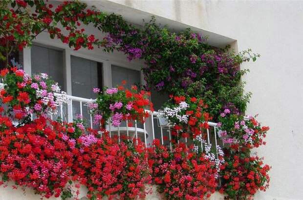 Идеи и советы при озеленении балкона