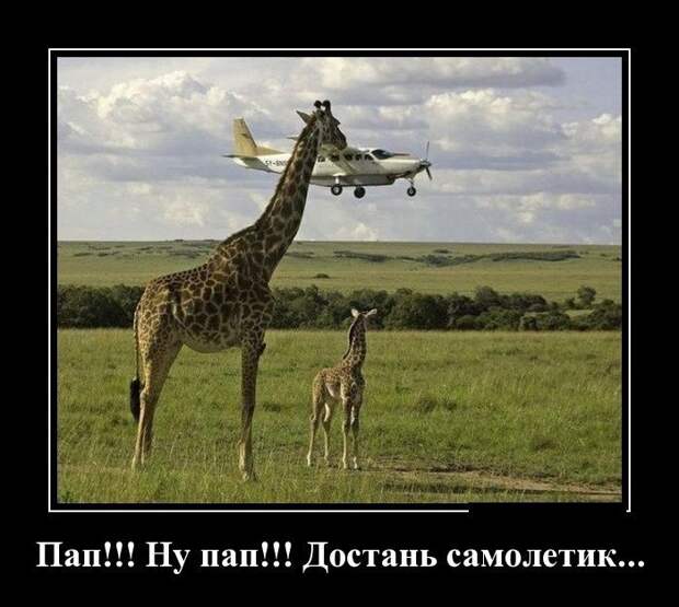 Подборка демотиваторов демотиватор, юмор