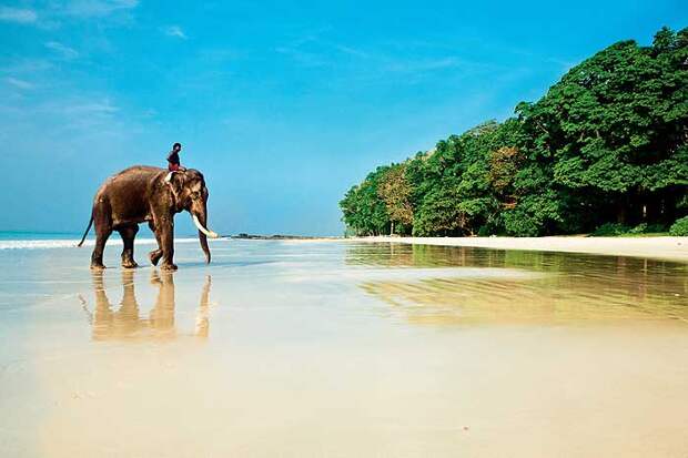 Пляж № 7, или Радханагар. 7 самых чистых и спокойных пляжей Индии