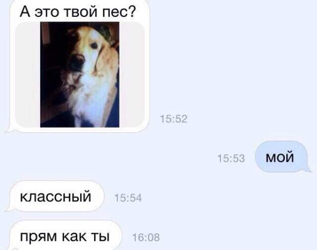 Самые необычные способы знакомства с девушкой Самые необычные способы знакомства с девушкой девушка, знакомство