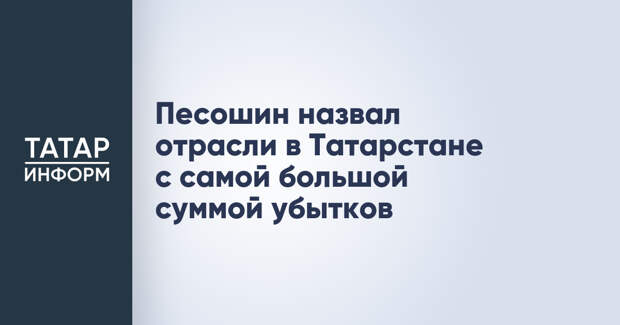 Песошин назвал отрасли в Татарстане с самой большой суммой убытков