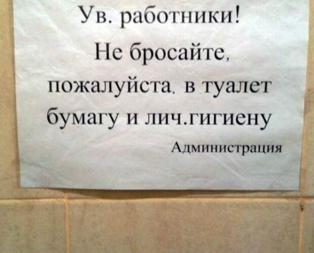 «Товарищ, у вас там в унитаз личная гигиена упала!» Товарищ у вас там в унитаз личная гигиена упала