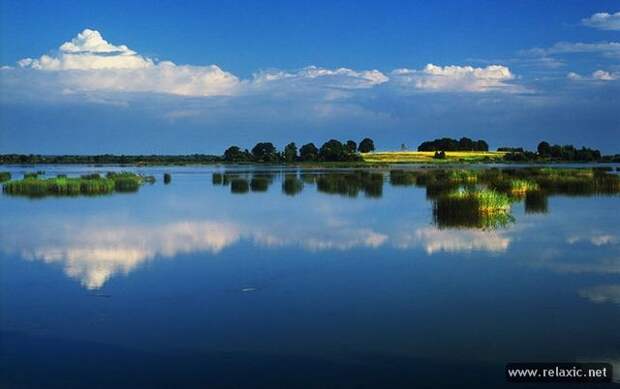 Andris_Eglitis_031