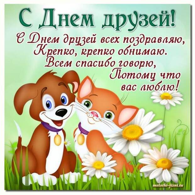 Picture background