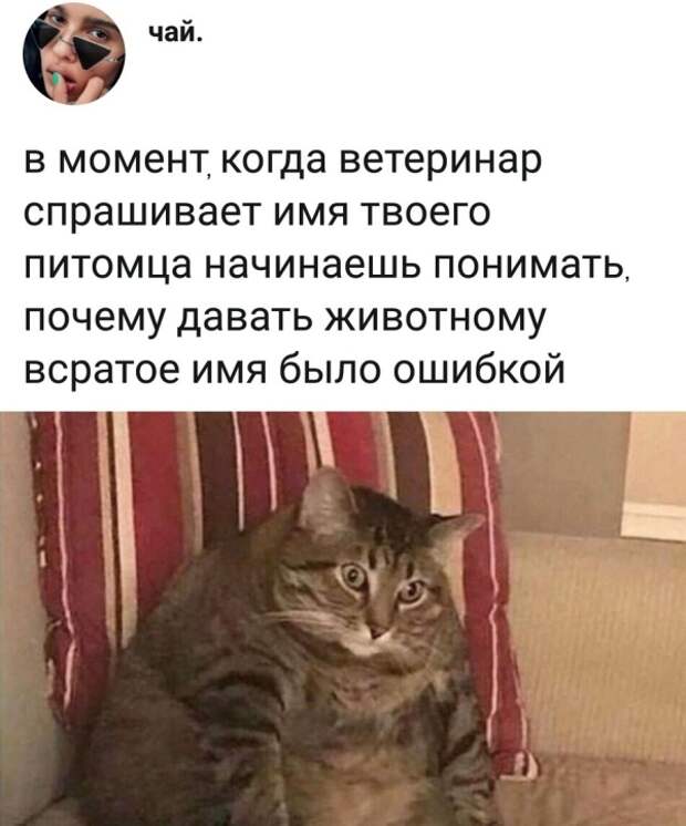www.vsyako.net
