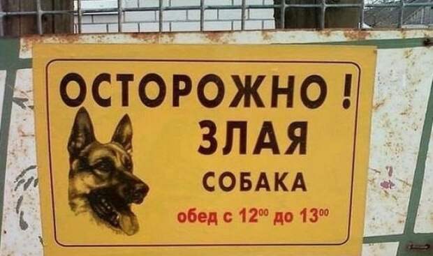 Таблички, которые сразу убеждают прикол, юмор