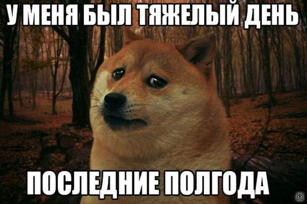 Повседневность в курьёзах 11