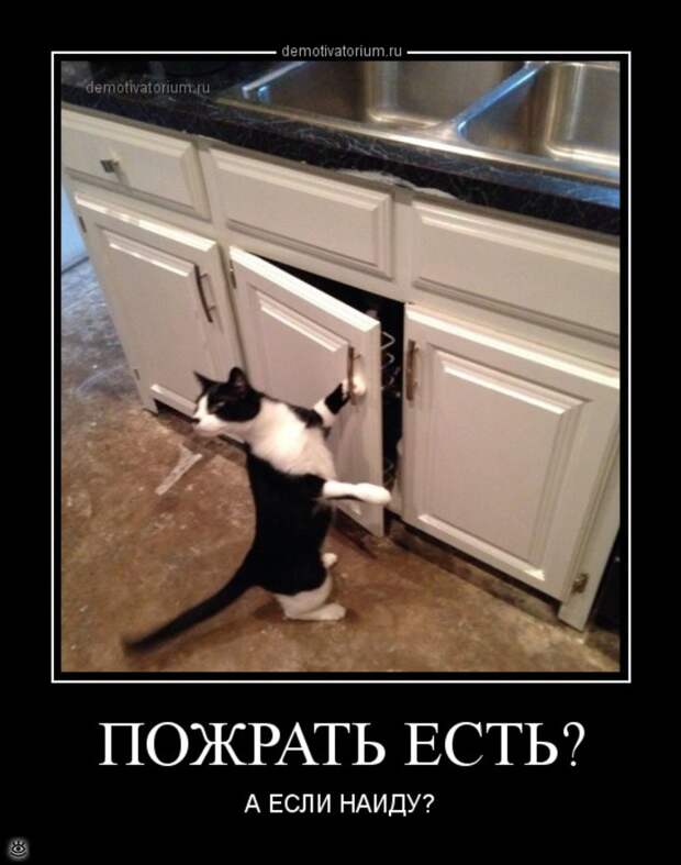 Особые осенние демотиваторы 1