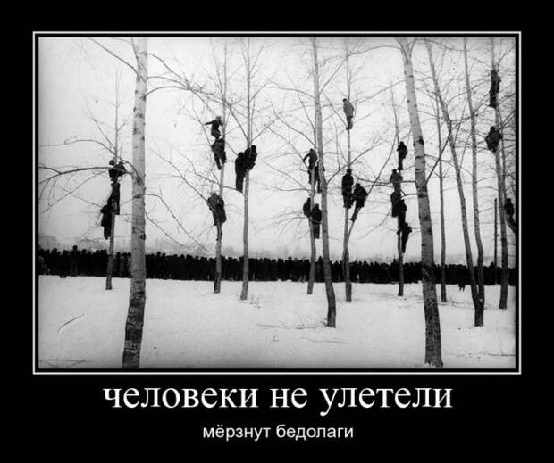 Демотиваторы  демотиваторы, прикол, смех, юмор