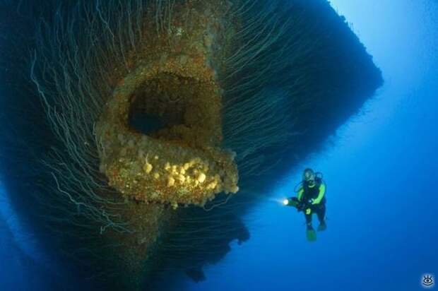 Забавности и оригинальности 33