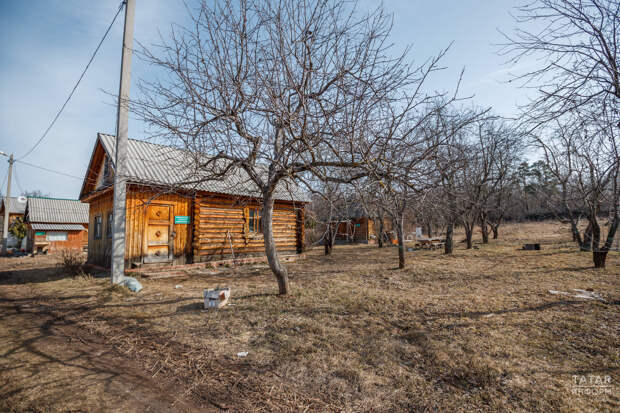 Юрист рассказала, когда грозит уголовная ответственность за рубку деревьев на даче