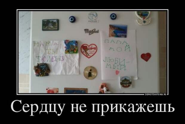 Новые демотиваторы (15 шт)