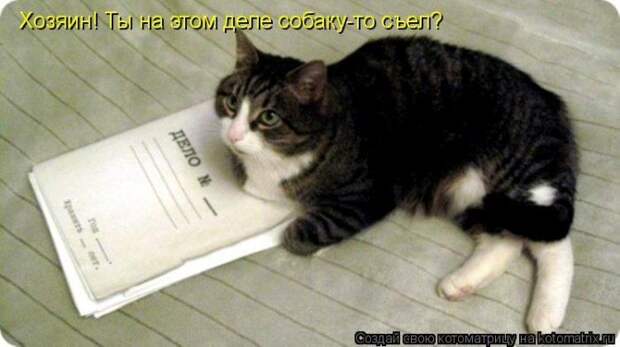 Котоматрицы :)