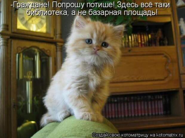 Котоматрица
