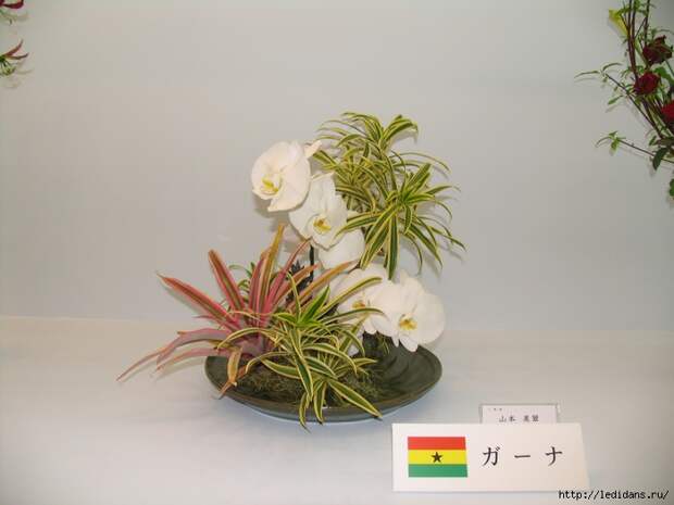 023 (700x525, 229Kb)