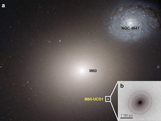 Галактика M60 и изображение ее спутника M60-UCD1 (из статьи <a href="http://arxiv.org/abs/1409.4769" target=_blank>1409.4769</a>)