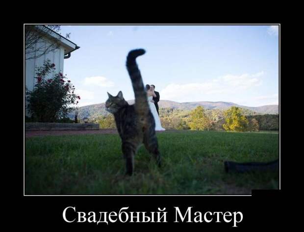 Демотиваторы (30 фото)