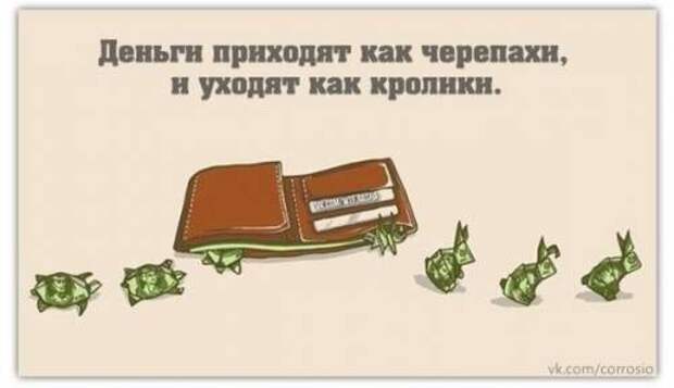 Смешная коллекция юмора и анекдотов