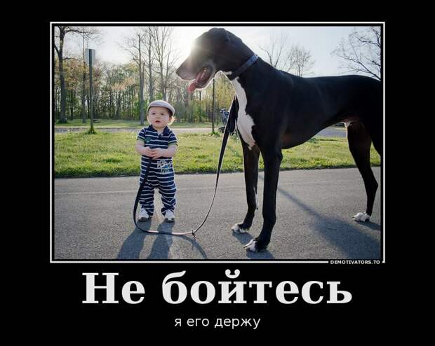 Демотиваторы демотиваторы