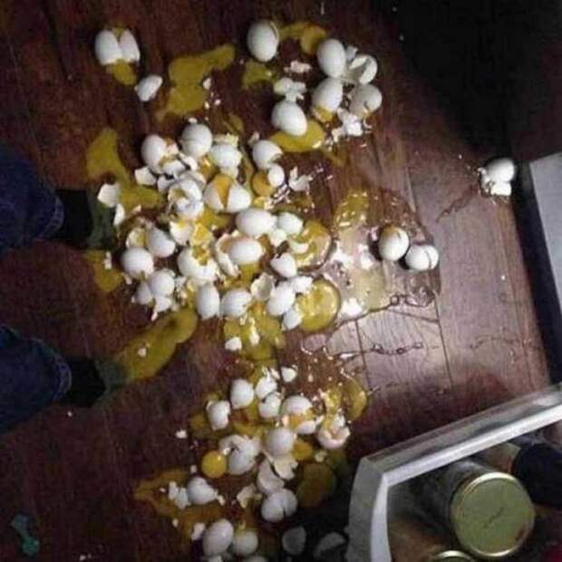 Неудачный день в картинках